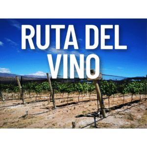 Ruta del Vino