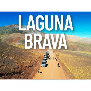 Laguna Brava